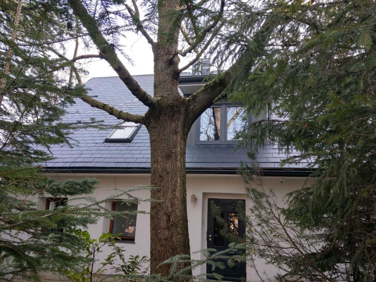 Apartamenty Martushka كارباش المظهر الخارجي الصورة